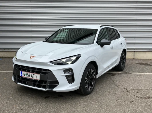 Bild eines CUPRA Terramar 2.0 TSI 204 PS DSG 4Drive