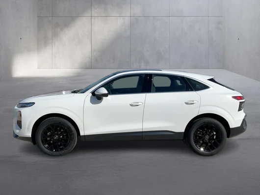 Bild eines Audi Q3 Sportback TFSI 110 kW