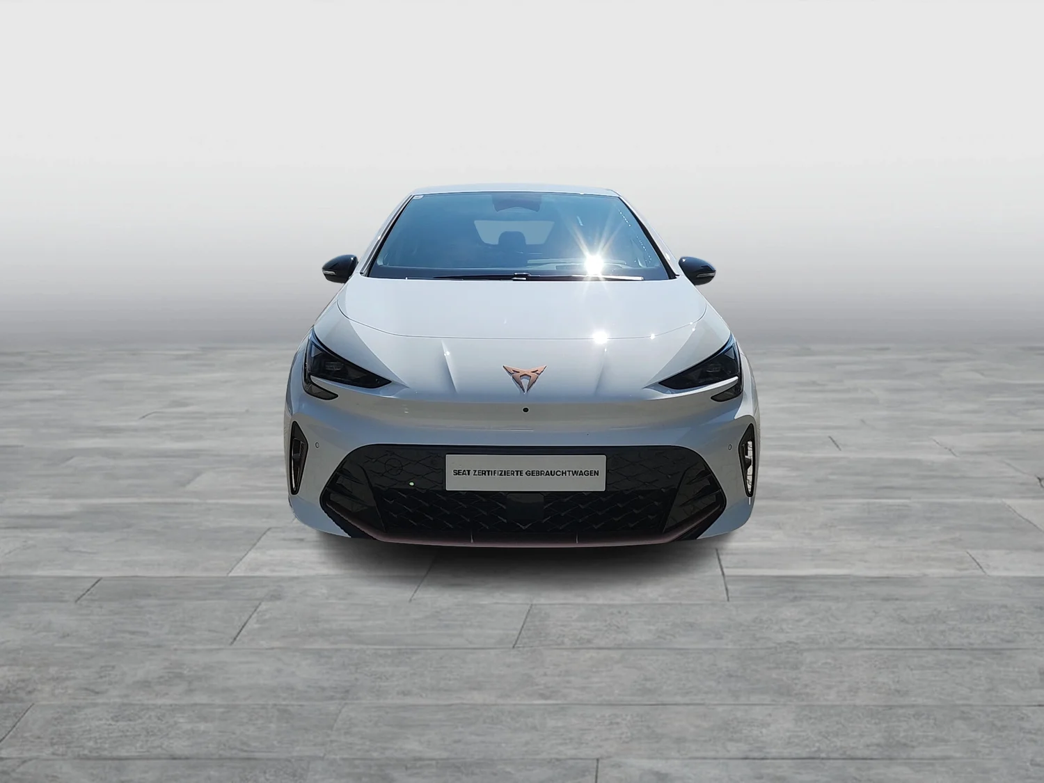 Bild eines Born ENDURANCE 79/84 170kW/231PS