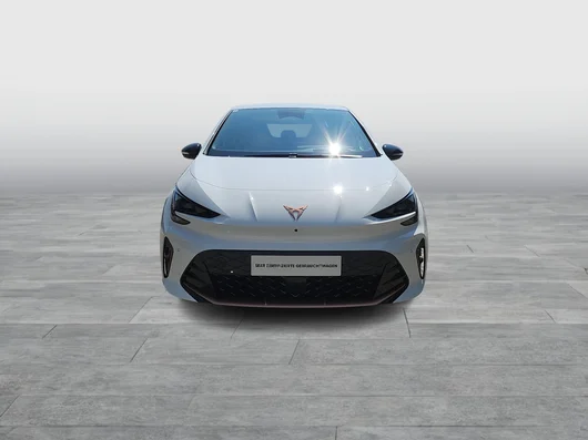 Bild eines Born ENDURANCE 79/84 170kW/231PS
