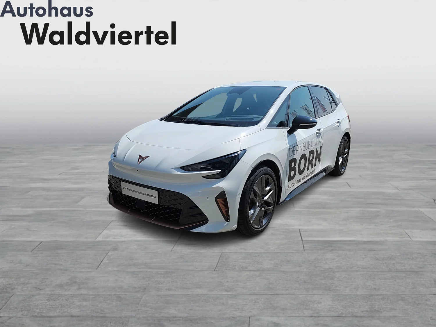 Bild eines Born ENDURANCE 79/84 170kW/231PS