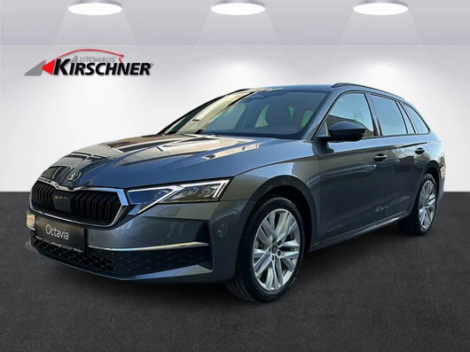 Bild eines Octavia Combi Selection TDI DSG