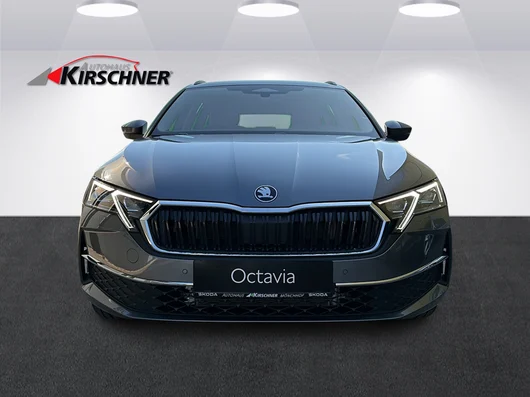 Bild eines Octavia Combi Selection TDI DSG
