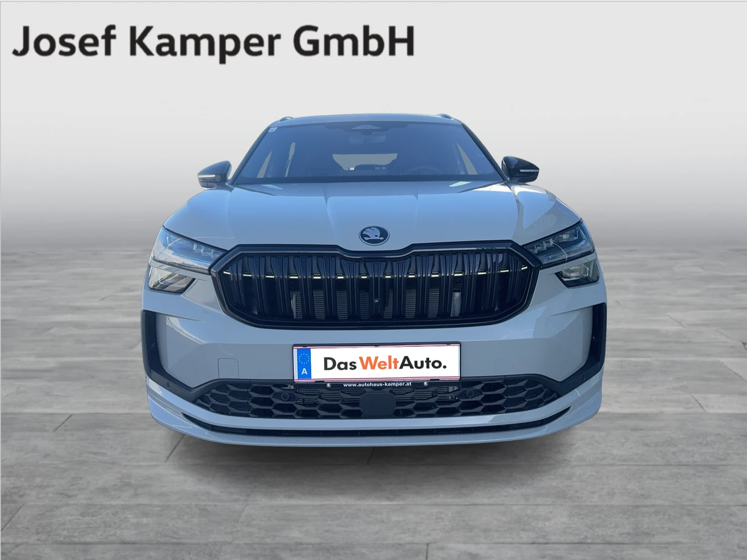 Bild eines Kodiaq Sportline iV TSI DSG