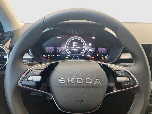 Bild eines Fabia Selection TSI DSG