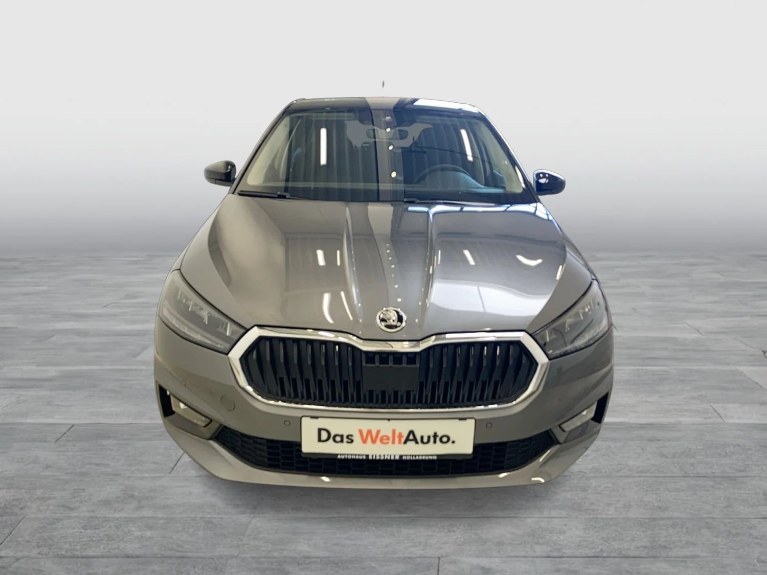 Bild eines Fabia Selection TSI DSG