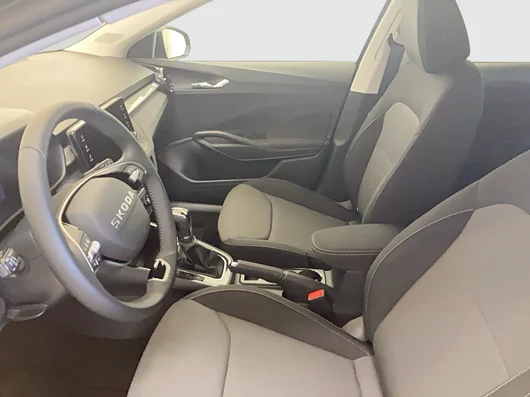 Bild eines Fabia Selection TSI DSG