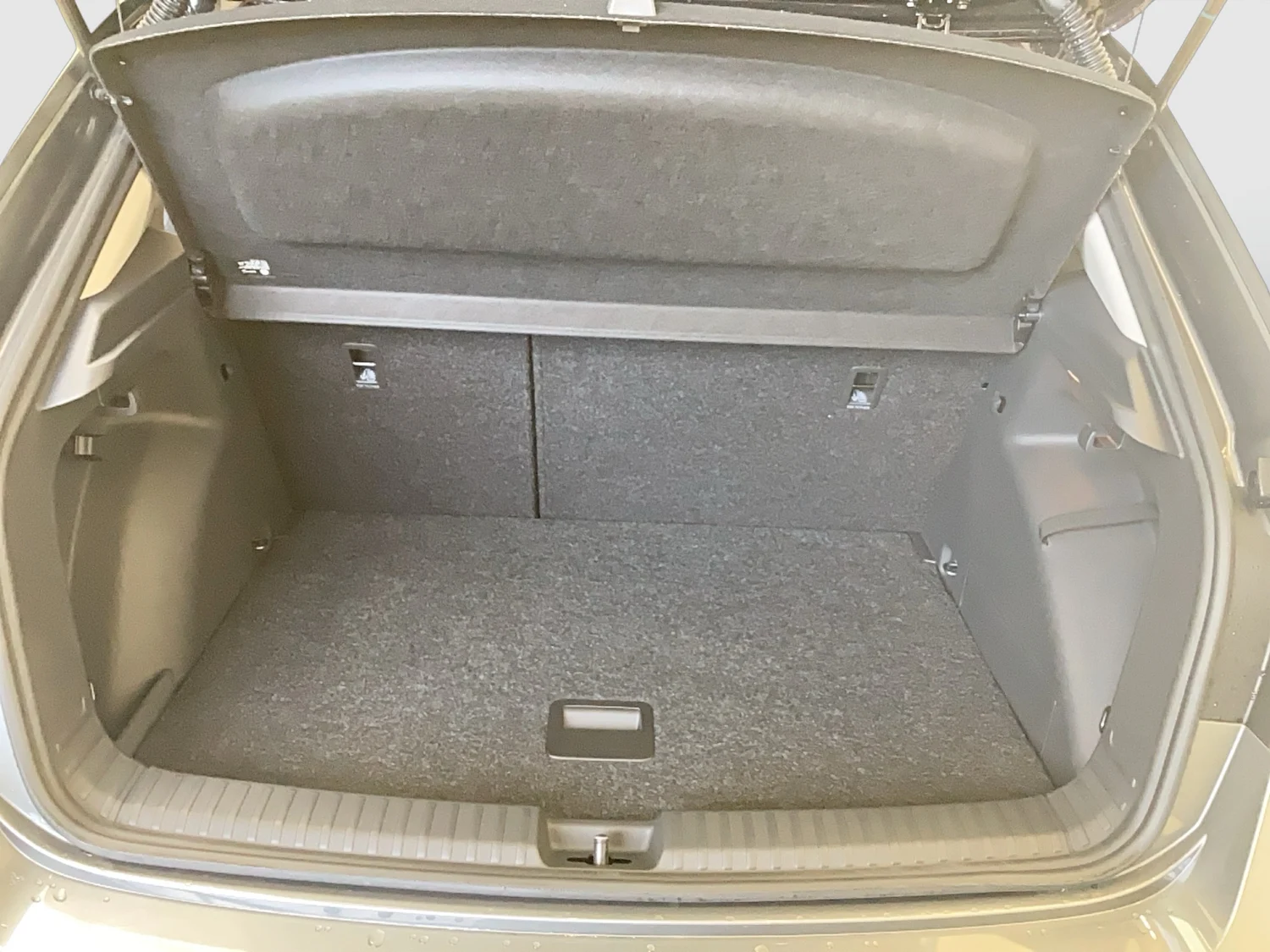 Bild eines Fabia Selection TSI DSG