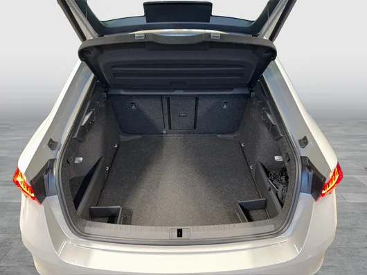 Bild eines Octavia RS