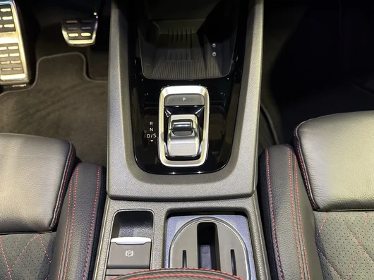 Bild eines Octavia RS