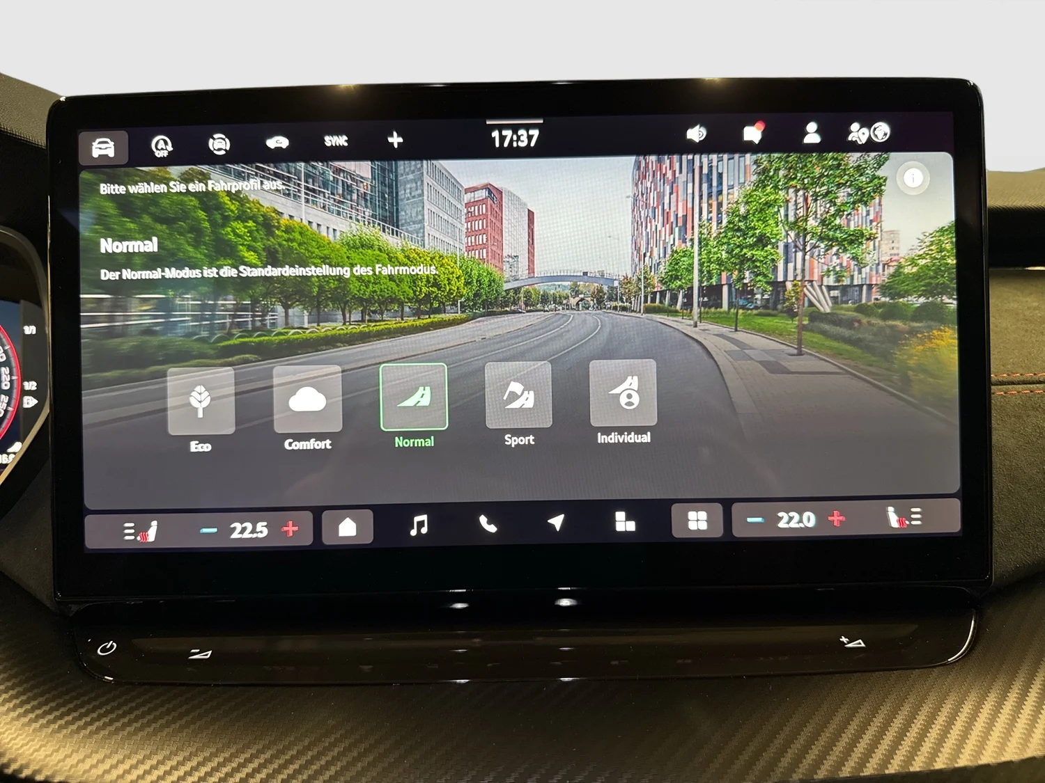 Bild eines Octavia RS