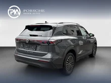 VW Tiguan Friends TDI DSG in Delfingrau Metallic
