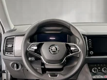 Škoda Kodiaq Style SC TDI DSG in Stahl-Grau