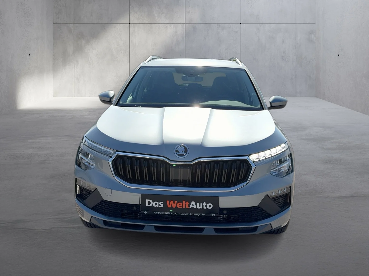 Bild eines Škoda Kamiq Selection TSI DSG