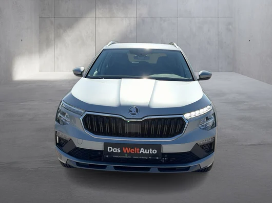 Bild eines Škoda Kamiq Selection TSI DSG