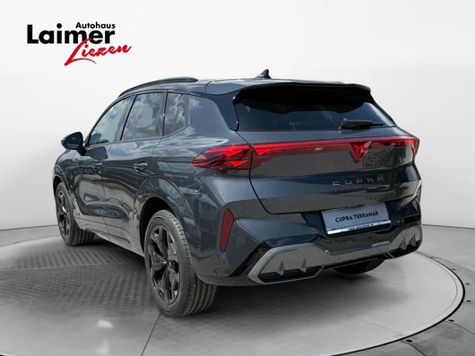 Bild eines Terramar 2.0 TSI 204 PS DSG 4Drive