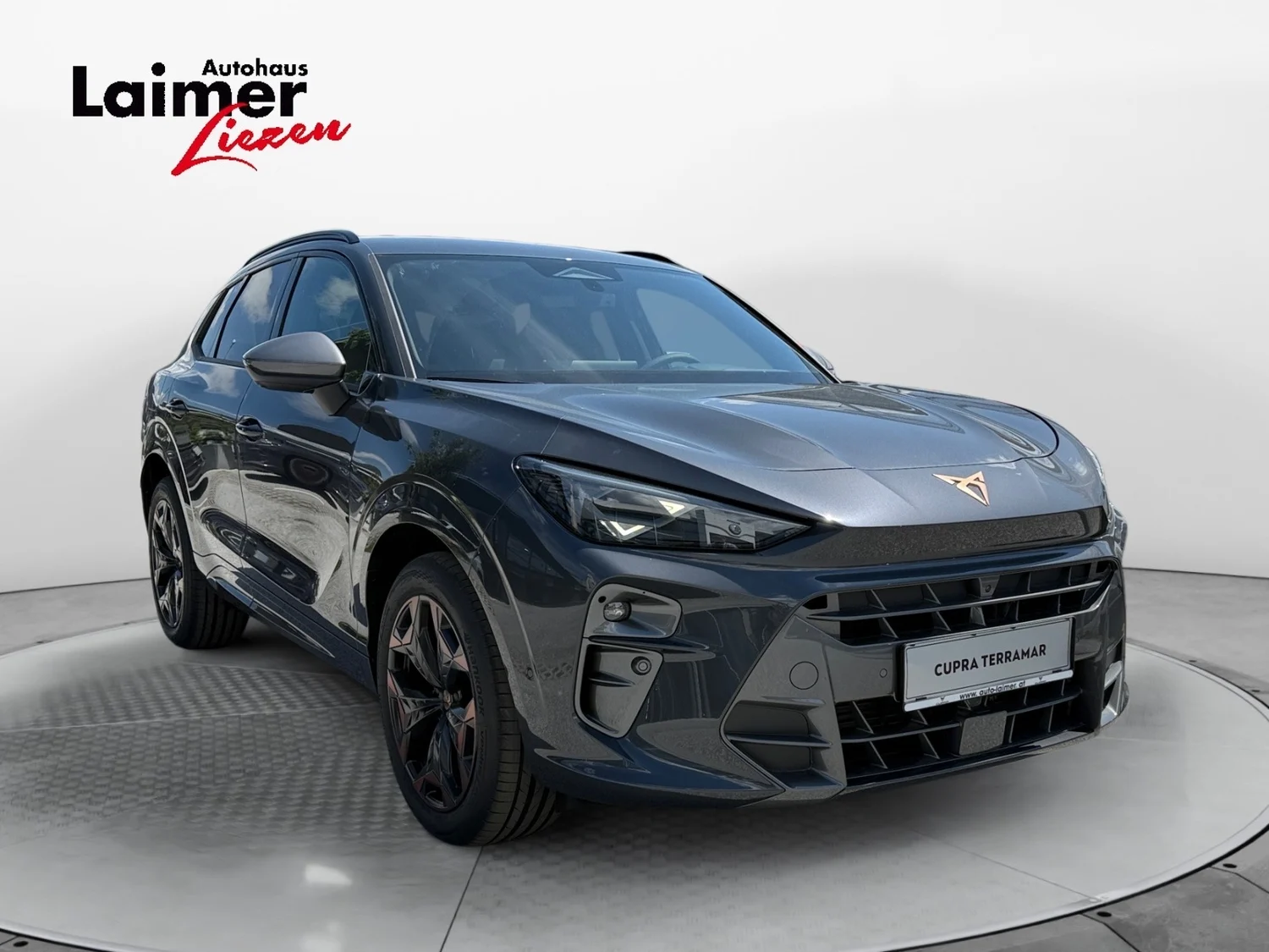 Bild eines Terramar 2.0 TSI 204 PS DSG 4Drive
