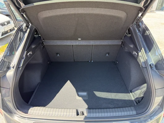 Bild eines Terramar 2.0 TSI 204 PS DSG 4Drive