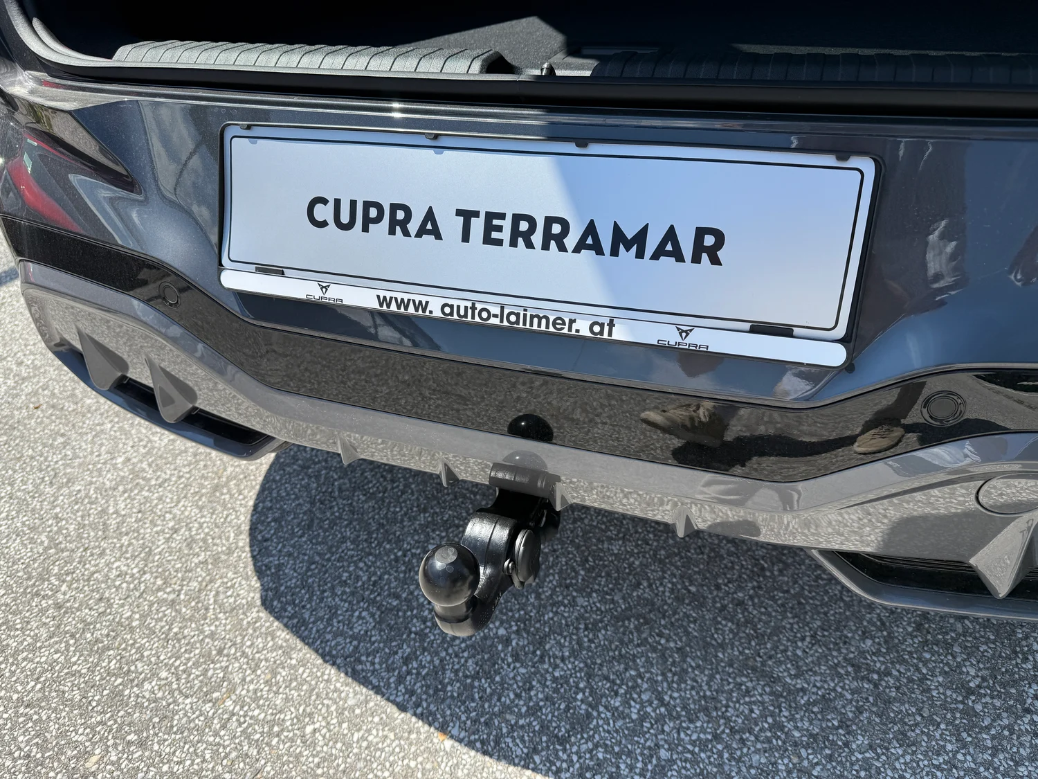 Bild eines Terramar 2.0 TSI 204 PS DSG 4Drive
