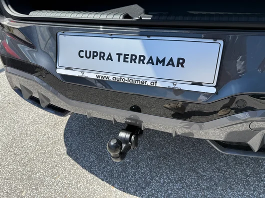 Bild eines Terramar 2.0 TSI 204 PS DSG 4Drive
