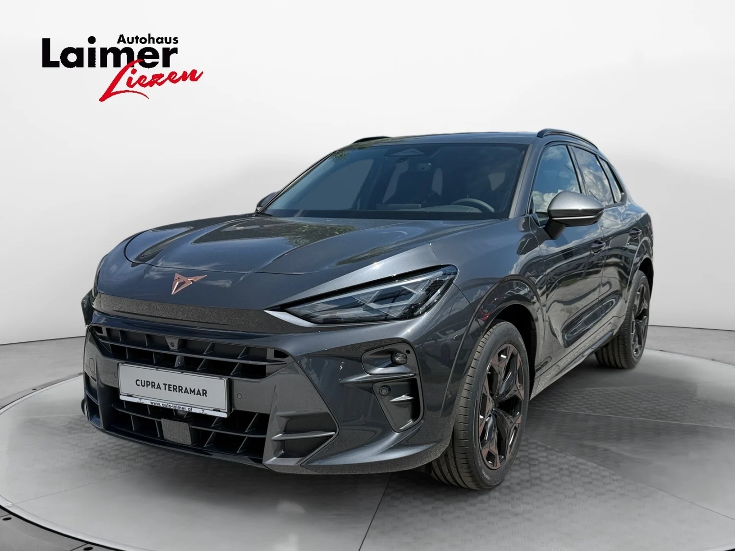 Bild eines Terramar 2.0 TSI 204 PS DSG 4Drive