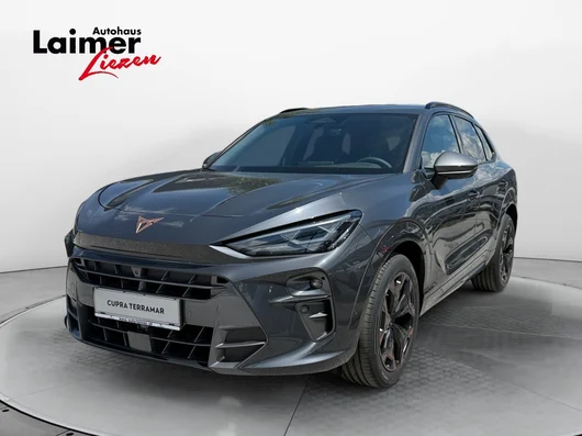 Bild eines Terramar 2.0 TSI 204 PS DSG 4Drive
