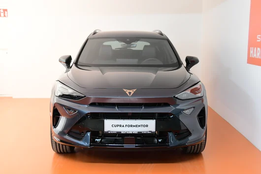 Bild eines Formentor 2.0 TSI 204 PS DSG 4Drive