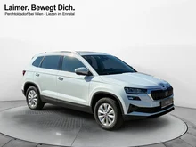 Škoda Karoq 4x4 Selection TDI DSG in Moon-Weiß Metallic