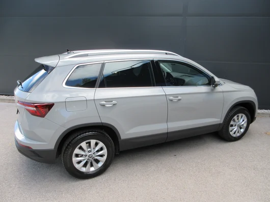 Bild eines Karoq 4x4 Selection TDI DSG