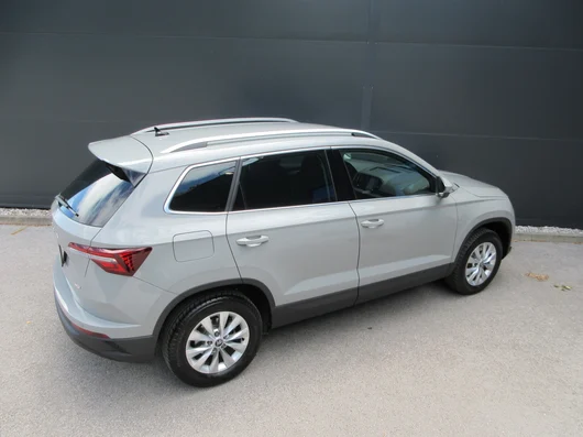 Bild eines Karoq 4x4 Selection TDI DSG