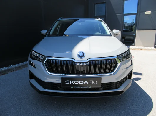 Bild eines Karoq 4x4 Selection TDI DSG