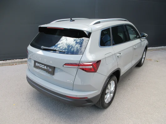 Bild eines Karoq 4x4 Selection TDI DSG
