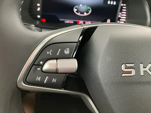 Bild eines Škoda Scala Selection TSI