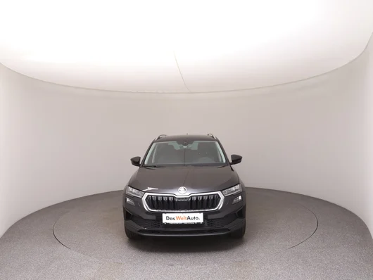 Bild eines Škoda Karoq 4x4 Selection TDI DSG