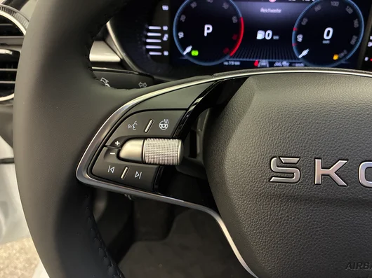 Bild eines Škoda Fabia Selection TSI DSG
