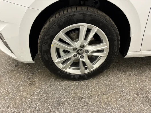 Bild eines Škoda Fabia Selection TSI DSG
