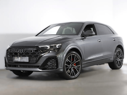 Audi Q8 TFSI e quattro 290 kW