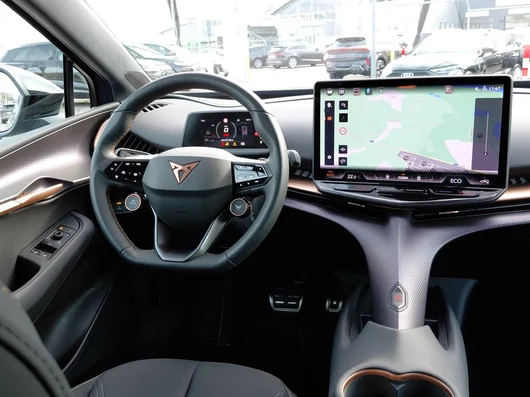 Bild eines Tavascan 210kW/286PS