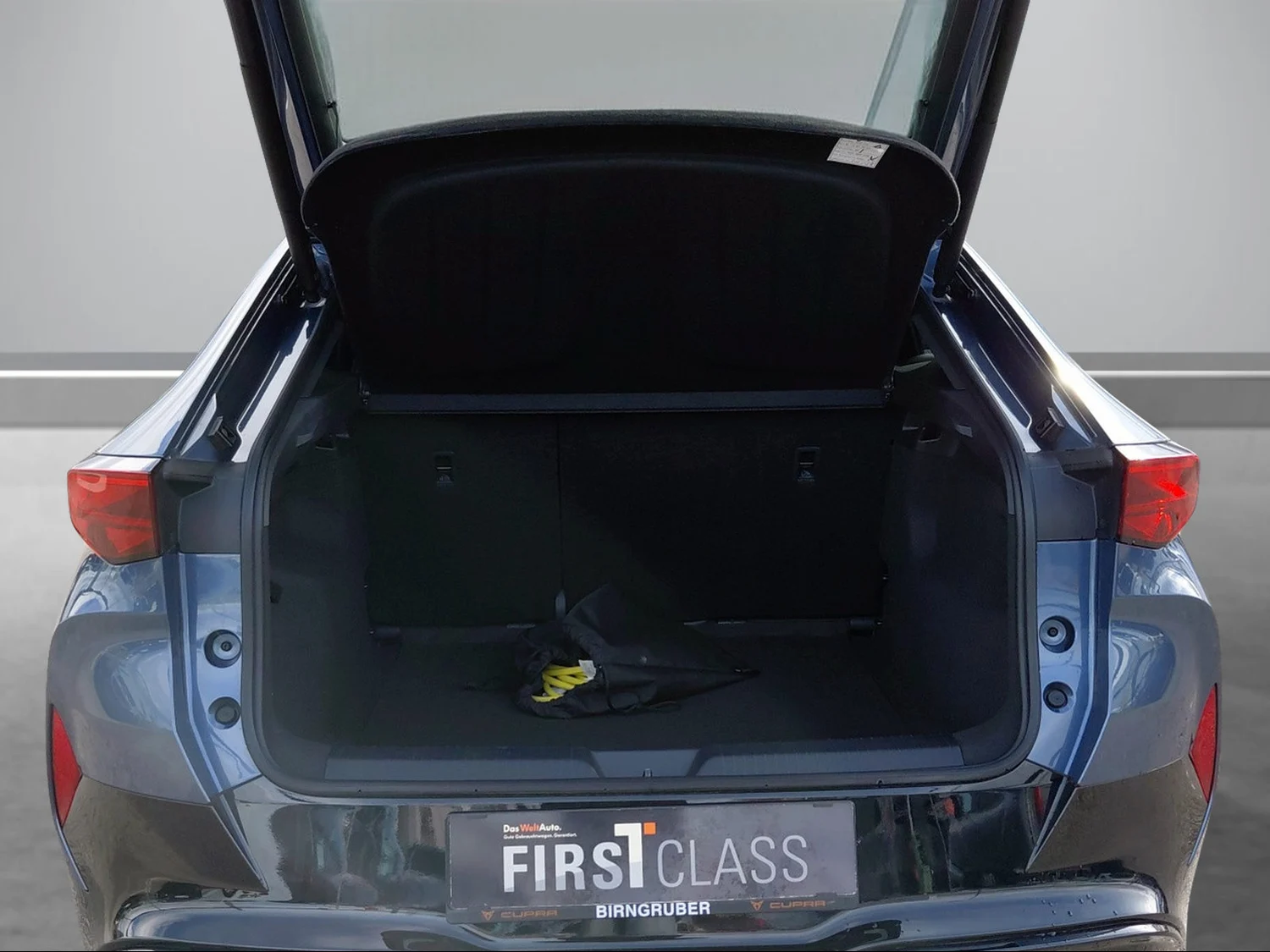 Bild eines Tavascan 210kW/286PS