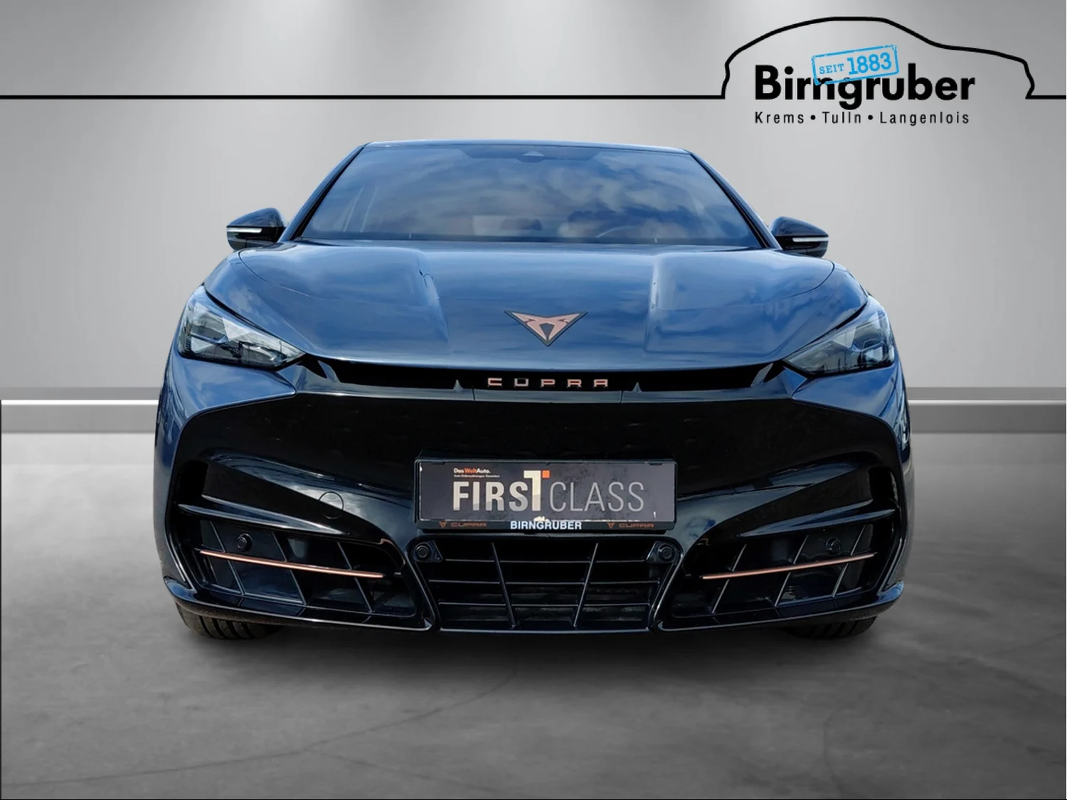 Bild eines Tavascan 210kW/286PS