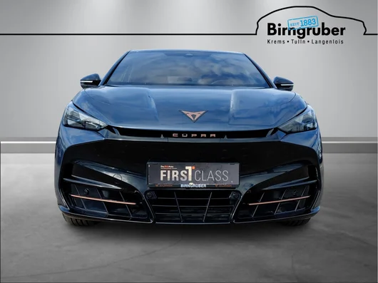 Bild eines Tavascan 210kW/286PS