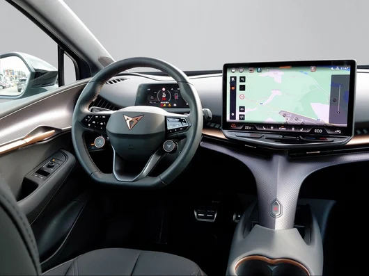 Bild eines Tavascan 210kW/286PS