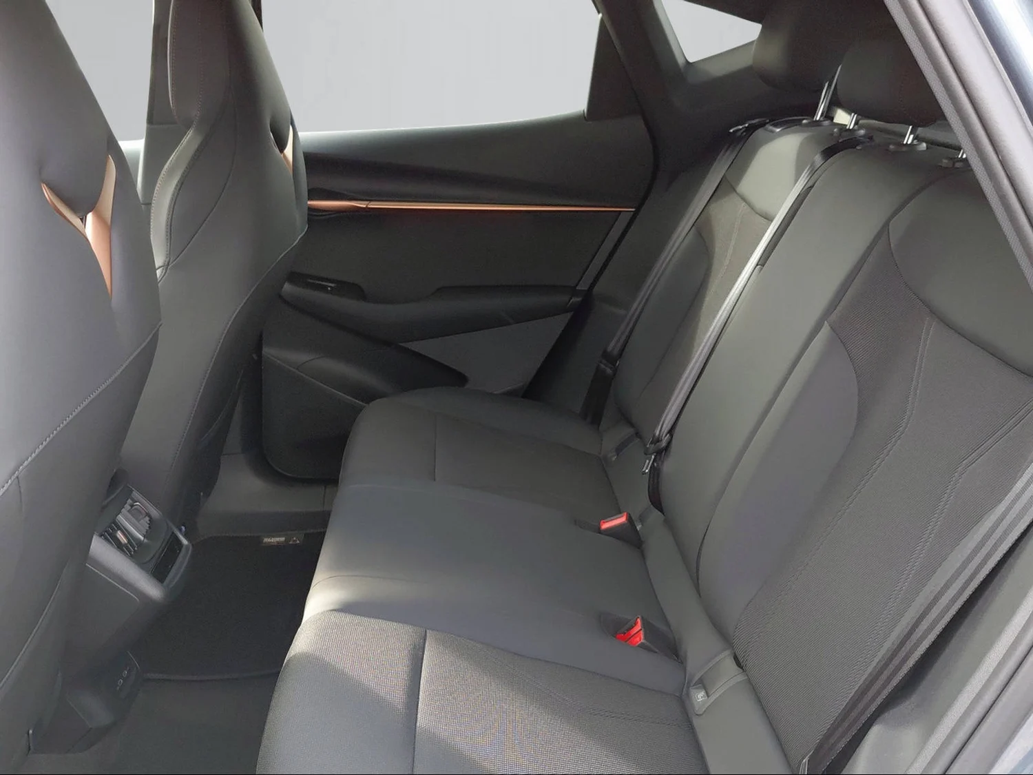 Bild eines Tavascan 210kW/286PS