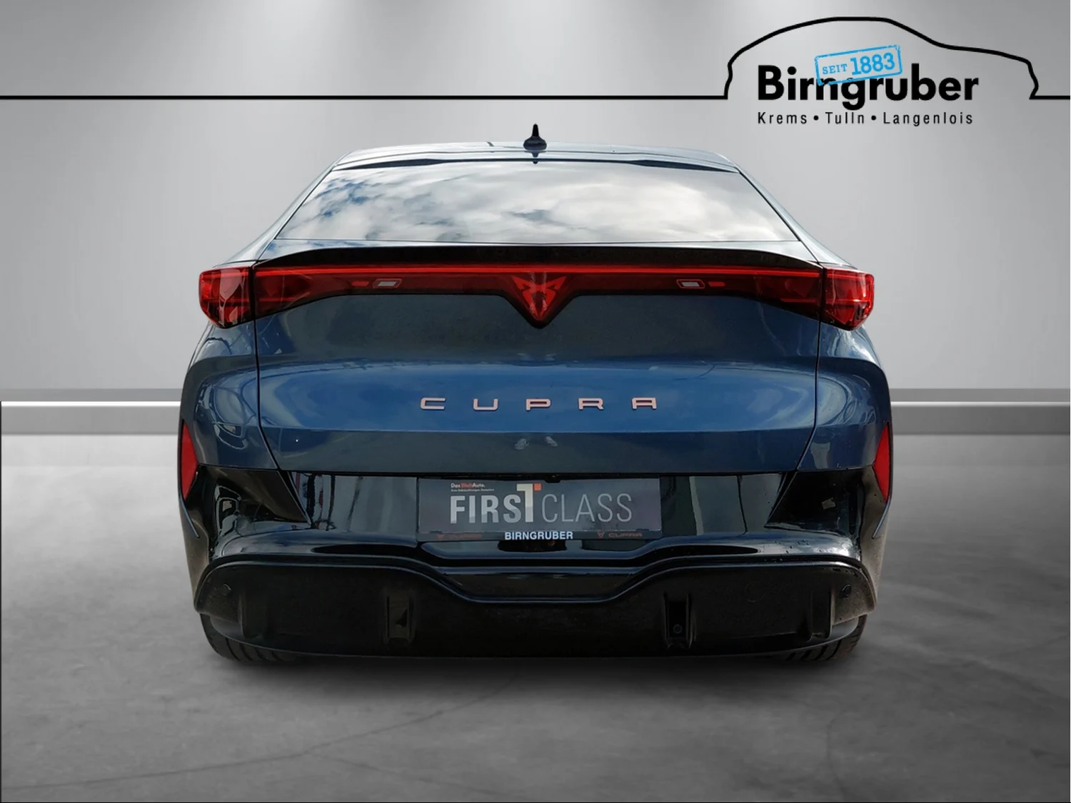 Bild eines Tavascan 210kW/286PS