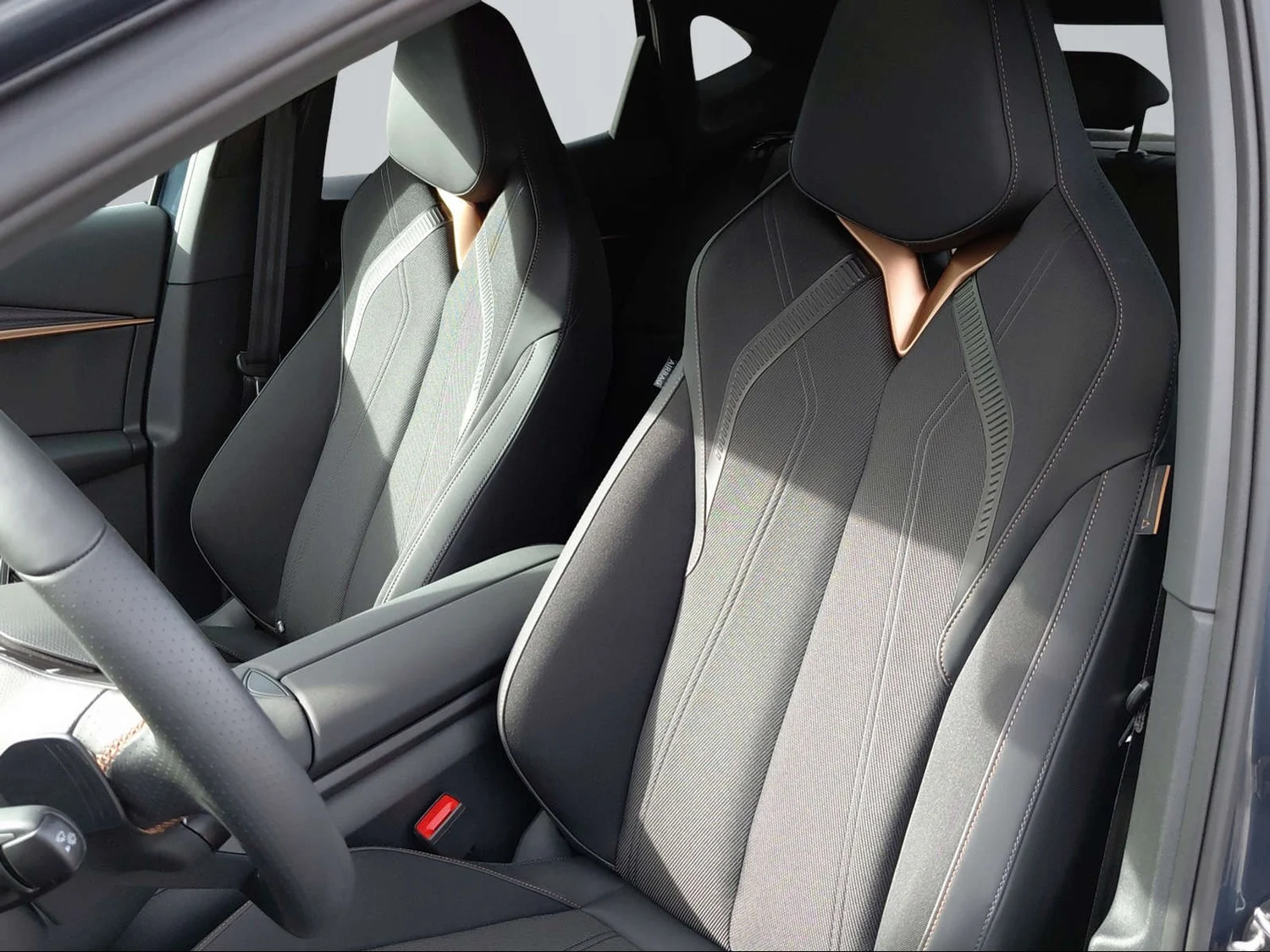 Bild eines Tavascan 210kW/286PS