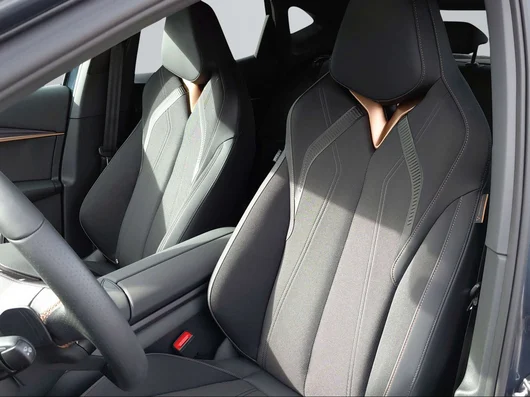 Bild eines Tavascan 210kW/286PS