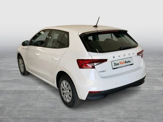 Bild eines Fabia Essence