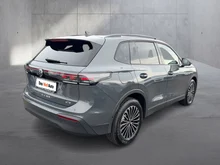 VW Tiguan Friends eTSI DSG in Delfingrau Metallic
