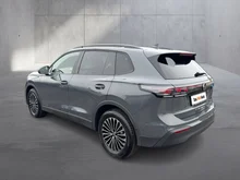 VW Tiguan Friends eTSI DSG in Delfingrau Metallic