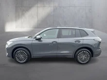 VW Tiguan Friends eTSI DSG in Delfingrau Metallic